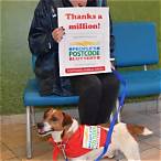 battersea dogs home lottery
